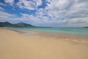 Tasmania Beach thumbnail